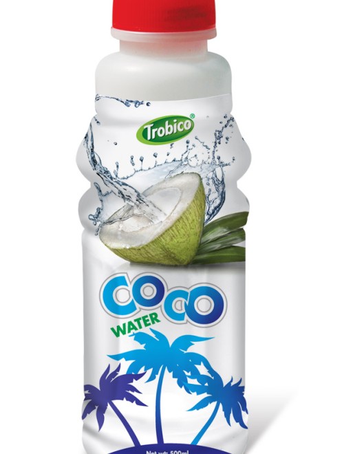 500ml Coco water